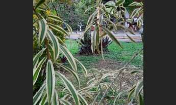 Imagem: Agrobrasil - Lindo sítio (Lugar de PAZ