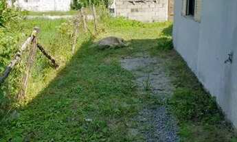 Imagem 3: Casa para venda tem 65 metros quadrados com 1 quarto em Balneário Gaivota - Itanhaém - SP