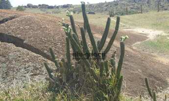 Imagem 4: Fazenda com 5 dormitórios à venda, 1863400 m² por R$ 25.000.000,00 - Itupeva - Itupeva/SP