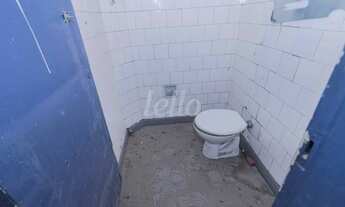 Imagem 7: São Paulo - Galpão/Depósito/Armazém - Cambuci