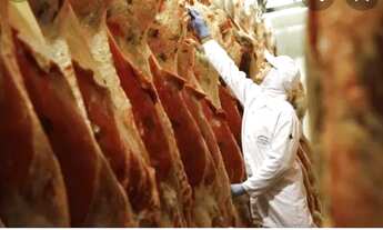 Imagem: Frigorífico a venda