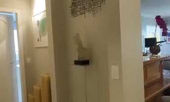 Imagem 6: Apartamento Venda 4 Dormitórios - 285 m² Pompéia