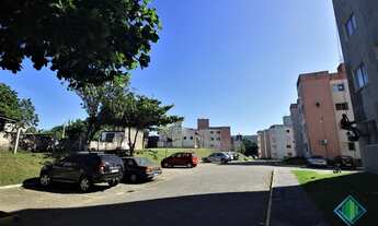 Imagem 7: SãO JOSé - Padrão - Serraria