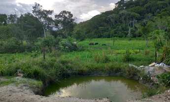 Imagem 3: Cachoeiras de Macacu Rio x Friburgo 18ha