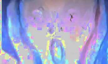 Imagem: Quarto C/Metrô a 250m (Tijuca Saens Pena)