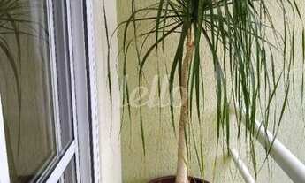 Imagem 3: Santo André - Casa Padrão - Jardim Bela Vista