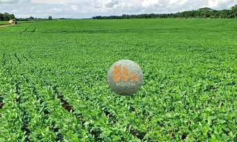 Imagem 3: Fazenda com 2 dormitórios à venda, m² por R$ 131.376.000,00 - Zona Rural - Canarana/MT