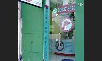 Imagem: Pet shop banho e tosa