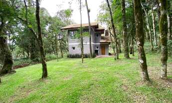 Imagem 6: Canela - Casa Padrão - Pinheiro Grosso