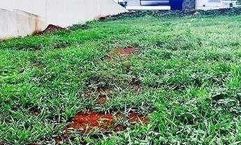 Imagem 6: Terreno à venda, 513 m² por R$ 590.000 - Alphaville III - Ribeirão Preto/SP