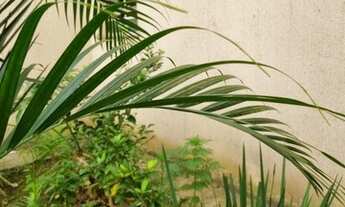 Imagem 3: ÓTIMO APARTAMENTO 47M² COM 2 DORMITÓRIOS E 1 VAGA DE GARAGEM - LAVRAS