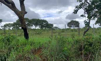 Imagem 7: Terreno 14ha com luz, nascente de agua, a 5 minuto do posto de gasolina,Jaboticatubas