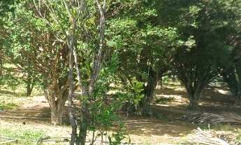 Imagem 7: Fazenda buritis MG proximo a cidade escriturada formada muita água