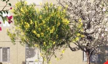 Imagem 6: Apartamento 2/4 -Tenda - Parque Topázio - Retiro - Salvador/BA