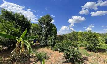 Imagem 6: CEDRAL (SP) Chácara com 3.831m2