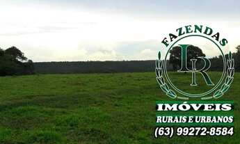 Imagem 4: Fazenda 23 Alqueires Taquaruçu Tocantins