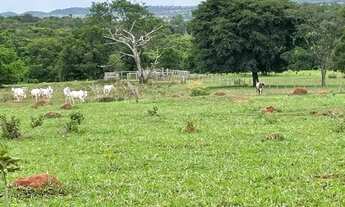 Imagem 7: Chácara à Venda 8 Alqueires em Palestina de Goiás-GO