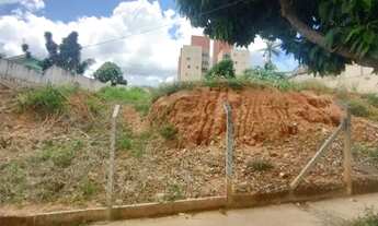 Imagem 3: AREA - VILA OLIVO - SP