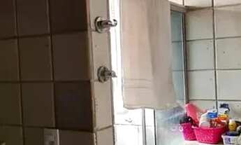 Imagem 7: VENDO OU ALUGO APTO GENTIL LUIZA