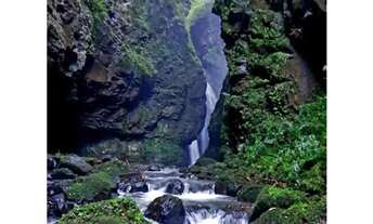 Imagem 6: Area - Bairro LINHA CANASTRA