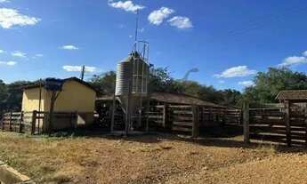 Imagem 2: Fazenda à Venda 1160 hectares em Paracatu - MG