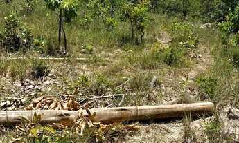 Imagem 2: Fazenda no Cerrado com Alto Potencial Produtivo Documentação em Dia