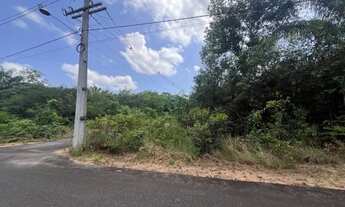 Imagem 3: Terreno na Chácara Janauary 2 - Excelente