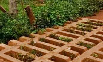 Imagem: Fazenda de arrendamento 1.500hec em Itiquira