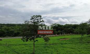 Imagem 4: Chácara 2 alqueires e 4 litros (9,7 hectares) Cezarina - Go