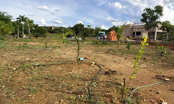 Imagem 7: Lote no condomínio Estância Real