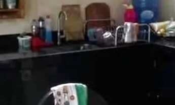 Imagem 4: Casa no parque dos nobres