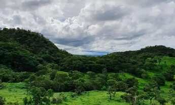 Imagem: Vende-se fazenada em Faina-Goias com 55