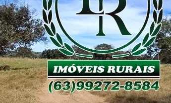 Imagem 6: Fazenda 152 alqueires, 740 hectares Dupla Aptidão Próximo a Palmas Tocantins