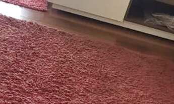 Imagem 7: Casa alto Umuarama próximo a UFU