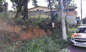 Imagem 3: TERRENO - JARDIM NOVA VIDA - SP