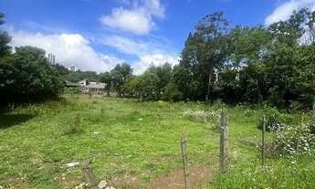 Imagem: TERRENO NO BAIRRO SALGADO FILHO