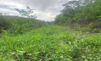 Imagem 6: Chacreamento Recanto dos Sonhos