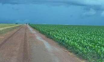 Imagem 7: Fazenda à venda 7546ha com pista de pouso - Nobres - MT