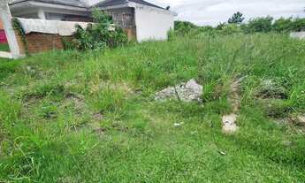 Imagem 4: À Venda: Terreno Estratégico no Bom Jesus, Pelotas (527m²), com 10x52, ideal para sua casa