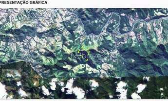 Imagem 4: Área Rural com Potencial Florestal e Pecuário no Paraná
