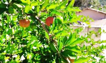 Imagem 3: Chácara no Pouso Alegre - Santa Isabel - SP