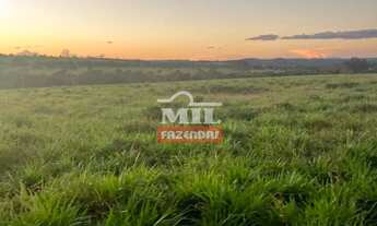 Imagem: Fazenda 90 Alqueires (440 Hectares ) Caiaponia