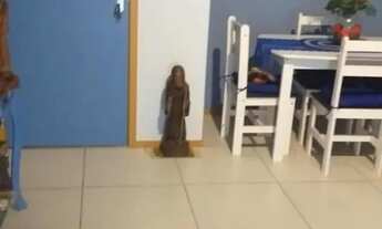 Imagem 2: Apartamento para Venda em Teresópolis, BOM RETIRO, 2 dormitórios, 1 suíte, 2 banheiros, 1