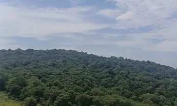 Imagem 6: Lote barato com doc ok e localização ótima