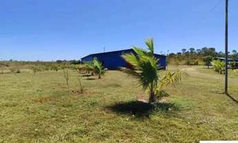 Imagem 5: CHACARA 8,39 HECTARES NÚCLEO RURAL TAGUATINGA - SAMAMBAIA NORTE