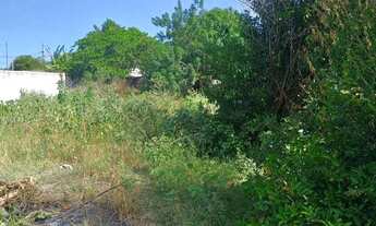Imagem 5: Terreno Residencial para Venda em Araruama, PARATY