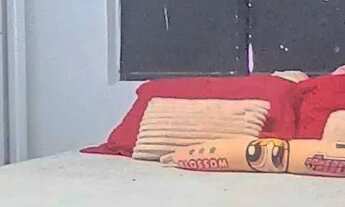 Imagem 6: Apartamento térreo no jardim cidade universitária!!