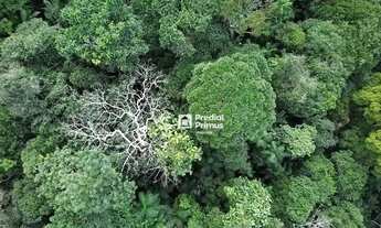 Imagem 6: Terreno à venda, 11632 m² por R$ 850.000,00 - São Pedro da Serra - Nova Friburgo/RJ