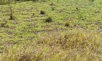 Imagem 3: Lote em Avenida Dorival Mantovani - Nova Itatiba - Itatiba/SP