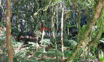 Imagem 5: Lote em Rua 21 - Alpes - São Francisco de Paula/RS